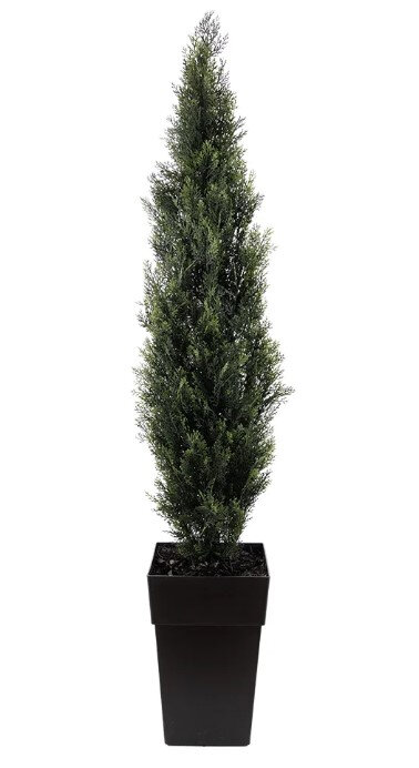 Faux Cedar in Black Planter Product Image